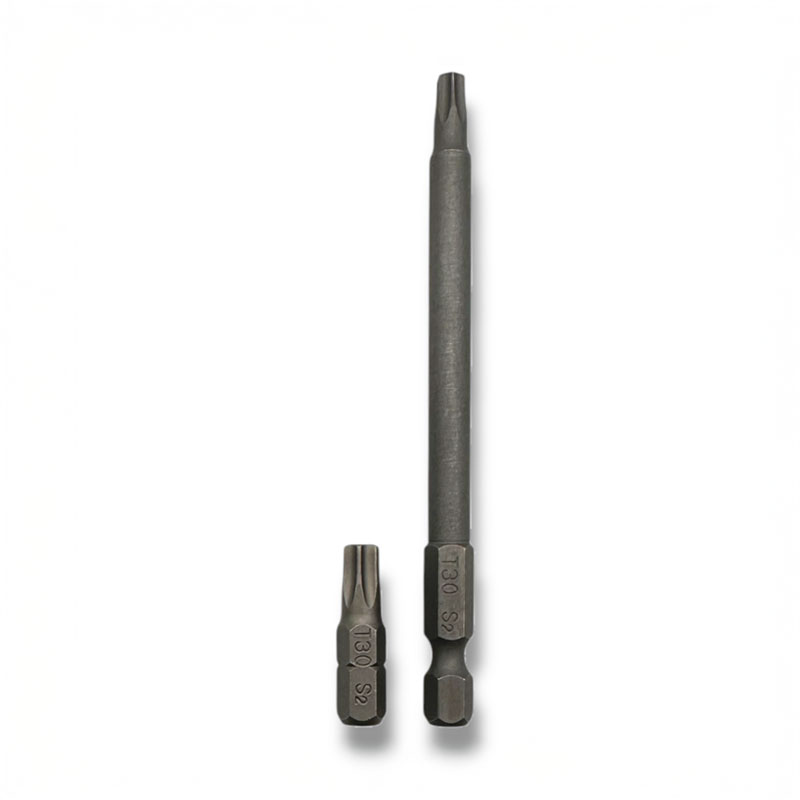 Torx Tamper Insert Bit